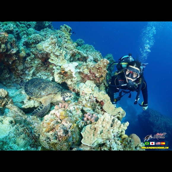 Meet your Posher, Claudia - Picture 4 of 11